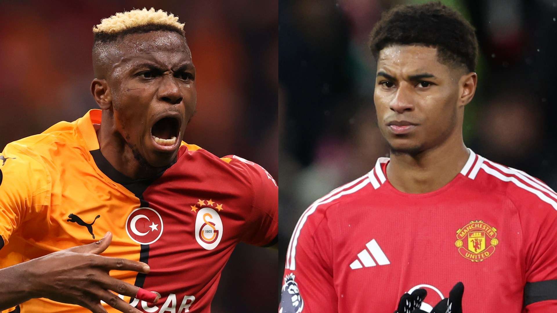 教育背景和 教育背景和