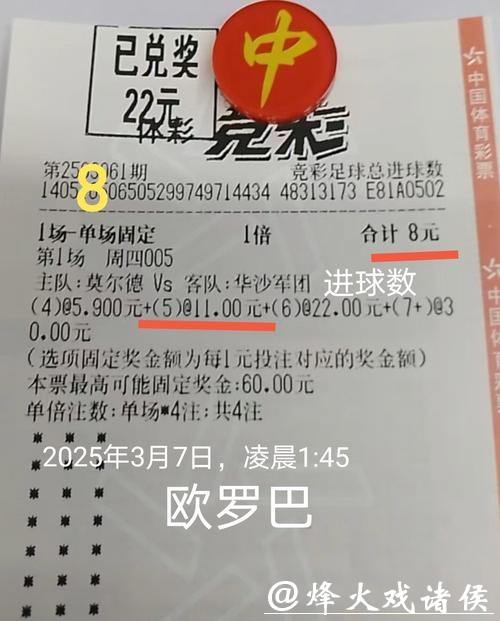 世界杯投注：世界杯冷门投注案例深析