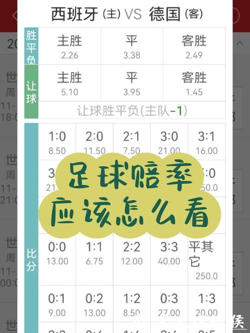 世界杯投注赔率计算及操作方法